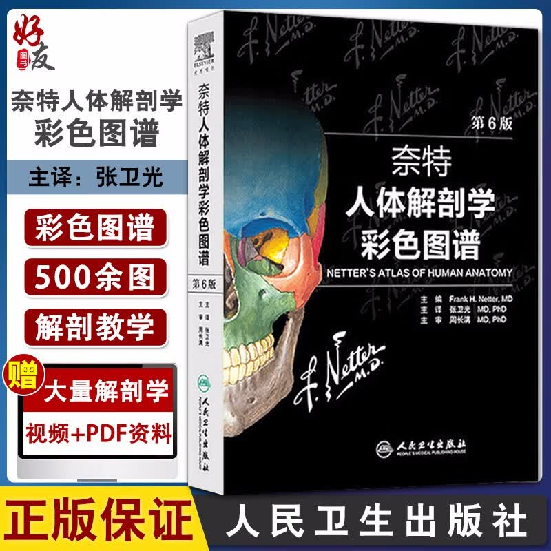 奈特人体解剖学彩色图谱 第6版第六版翻译版双语全彩图张卫光主译人体解剖学书籍奈特人体彩色解剖图谱涂色