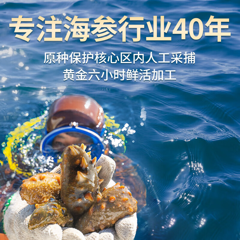 棒棰岛 大连冷冻海参1500g固形物75%以上 27-36只 非即食 生鲜礼盒 送礼