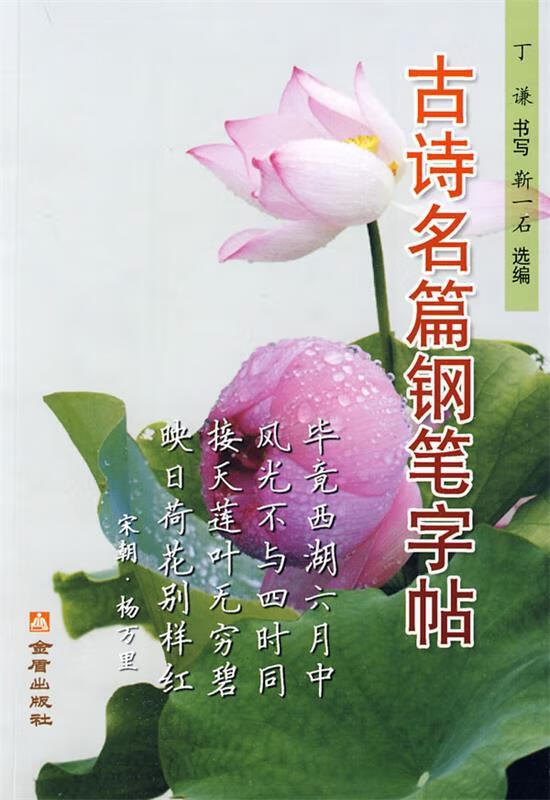 古诗名篇钢笔字帖 丁谦 书写,靳一石 选编【正版书】