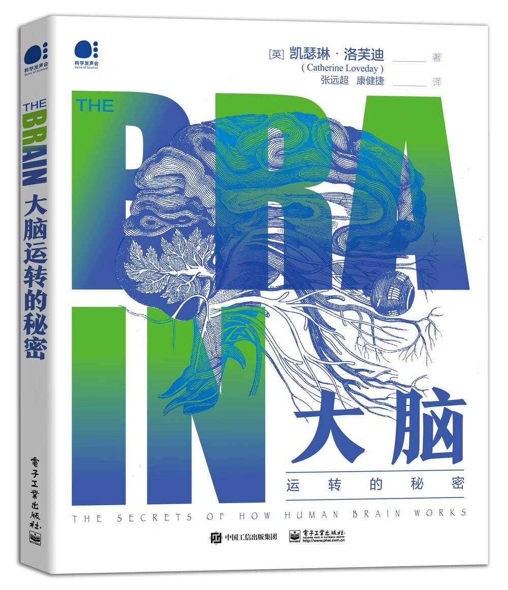 大脑运转的秘密