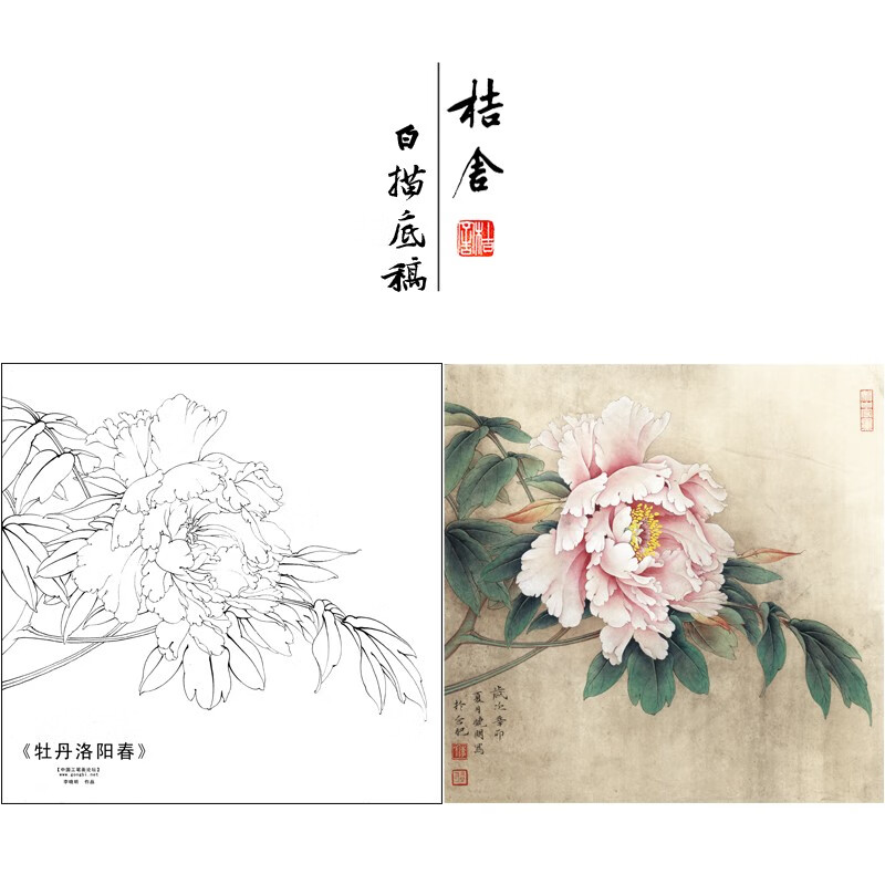 桔舍李晓明工笔画白描底稿牡丹小品原大40×40厘米花鸟线稿带a3步骤图