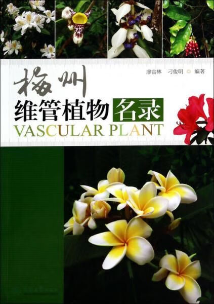 梅州维管之物名录
