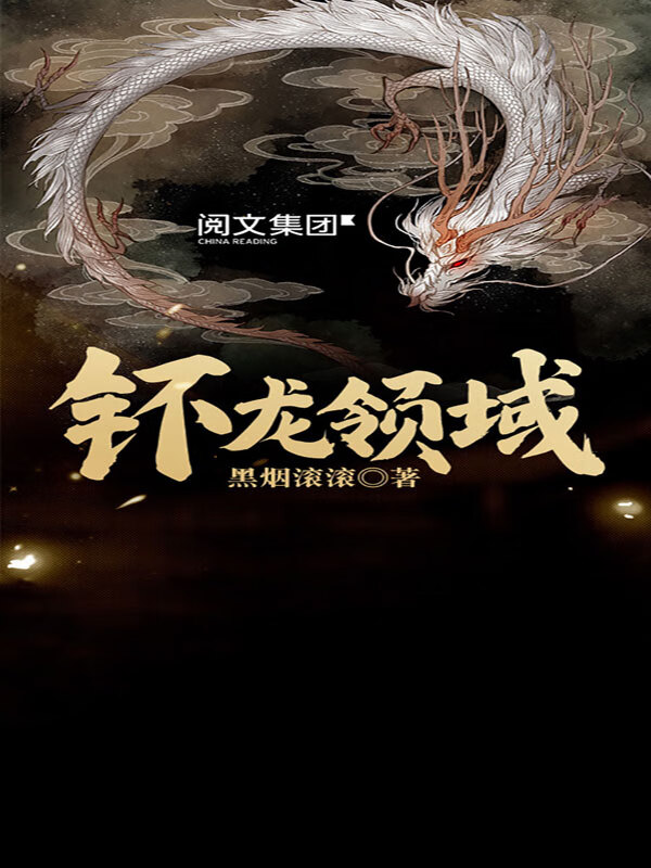 钚龙领域(七)