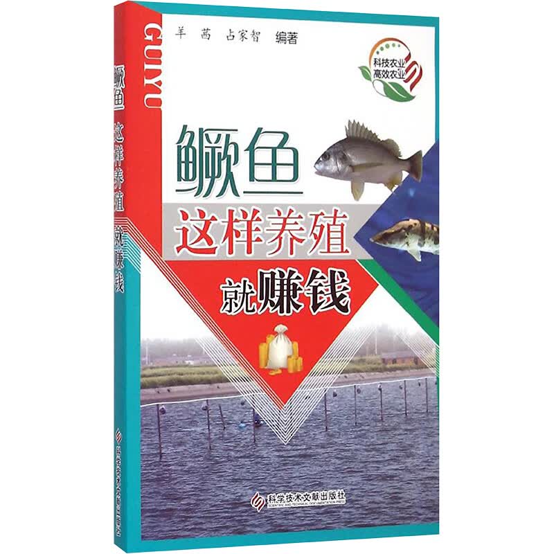 鳜鱼这样养殖就赚钱