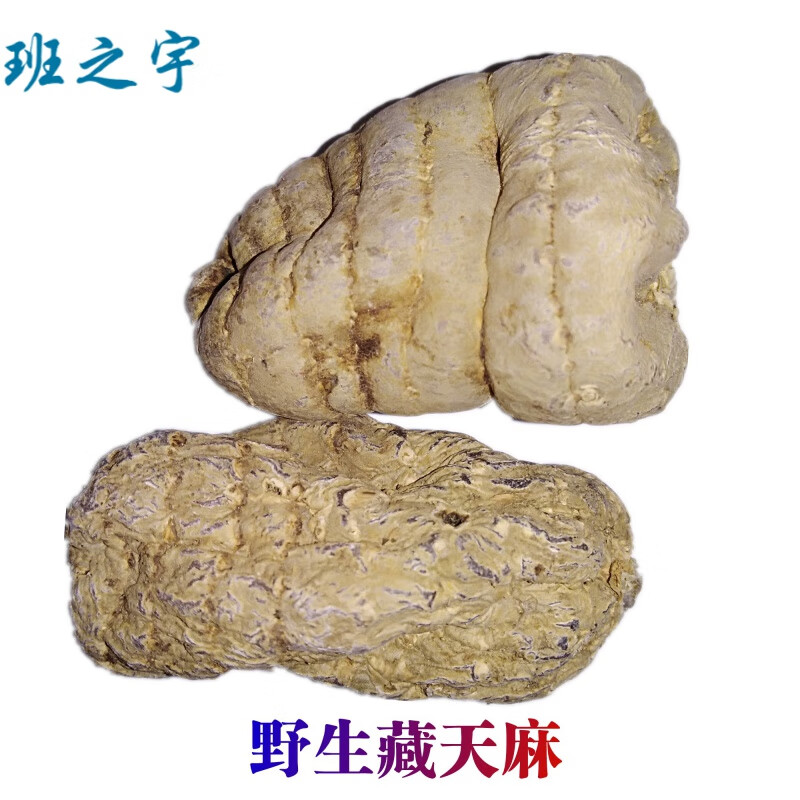 吐蕃御方泡酒料藏天麻西藏波密野生特产 天然原生态天麻 冬天麻
