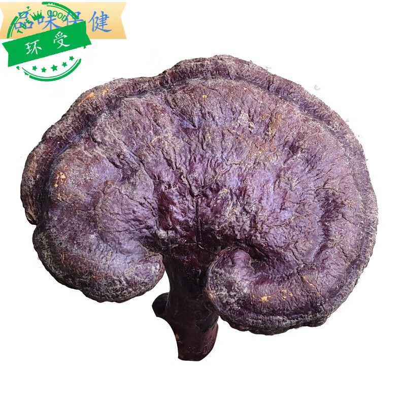 长白山灵芝野有柄赤灵芝山整枝林芝红灵芝干货泡酒可切片250g