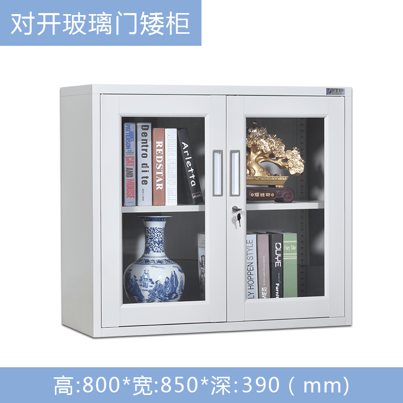档案文件柜家用矮柜拆装抽屉带锁多门多斗储物 800高对开玻璃门矮柜