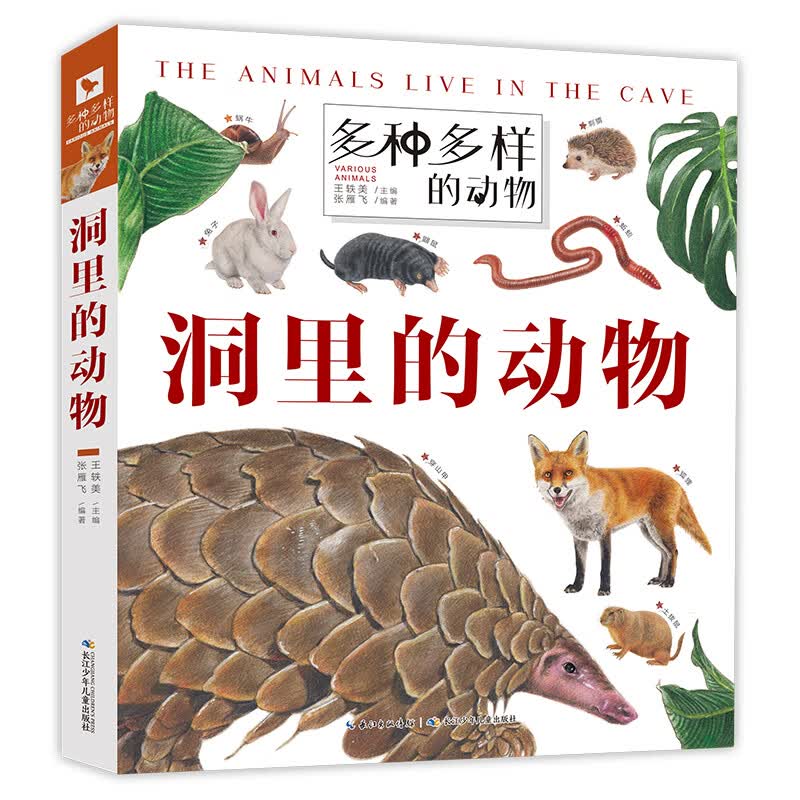 多种多样的动物·洞里的动物 一套孩子爱不释手的动物翻翻书 