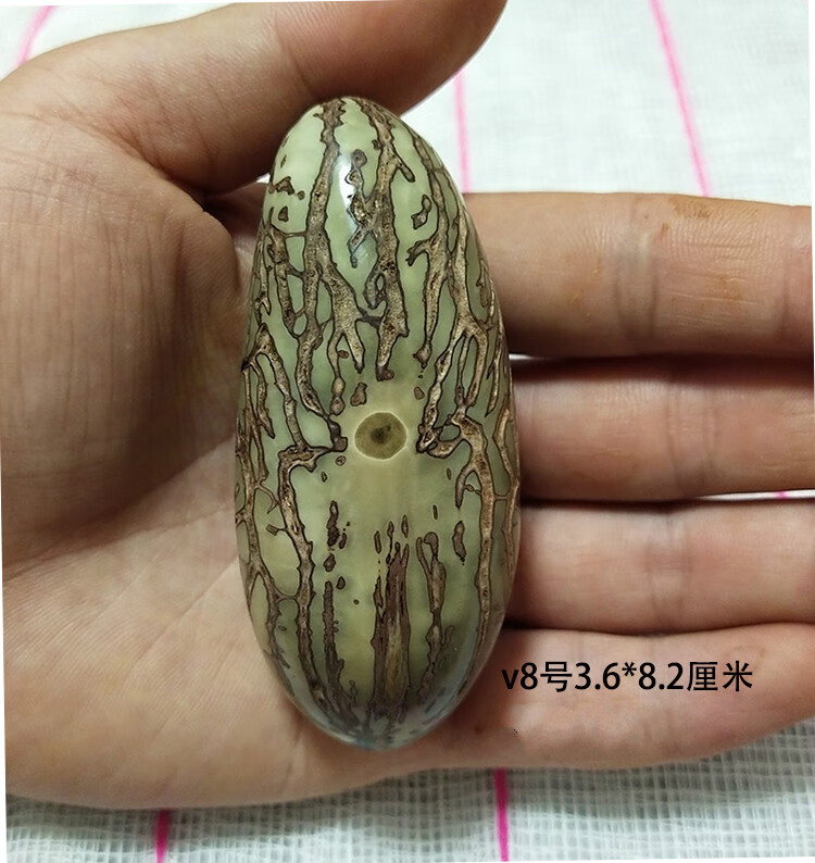 千眼菩提子手把件绿白大果胖果磨好成品 天然文玩把玩件手磨精品2021