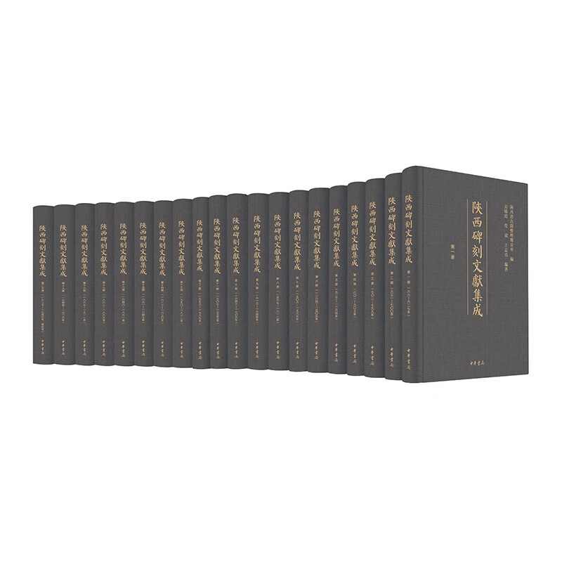 陕西碑刻文献集成（精）全二十册 中华书局 2箱一套