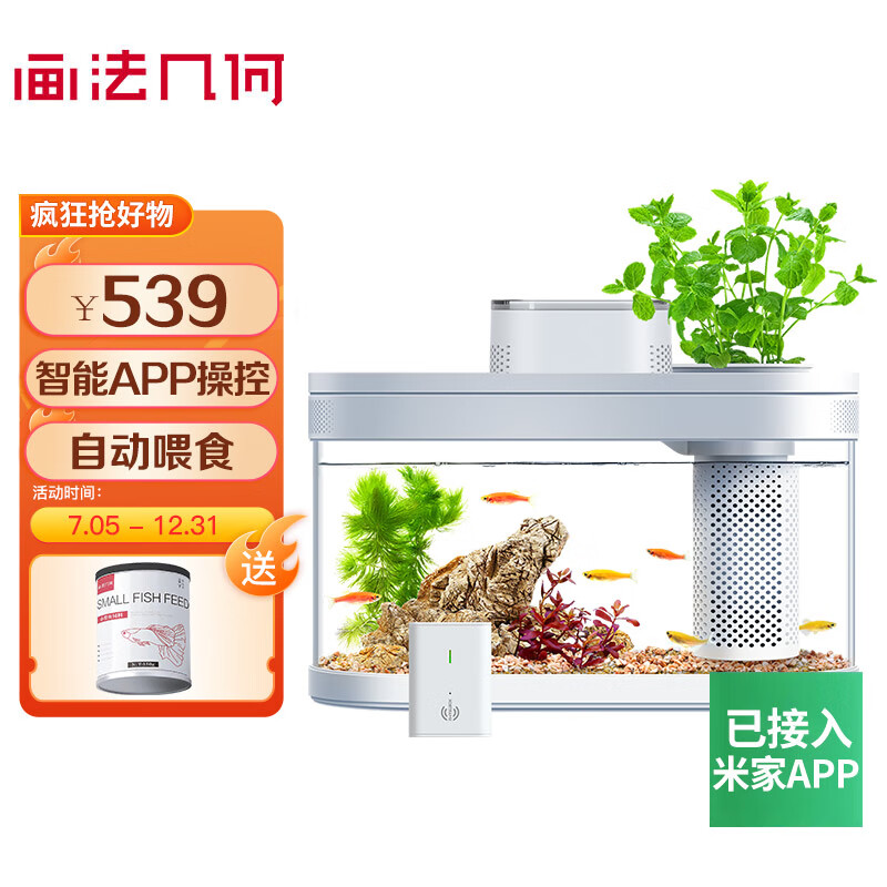 亲身感受七次画法几何桌面鱼缸智能鱼缸究竟如何呢？使用一个月后评测