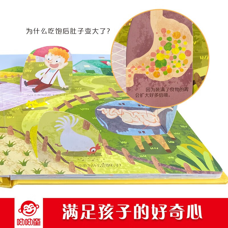呦呦童揭秘科普翻翻书低幼版（套装共4册）揭秘太空/食物/时间/生命 问答式亲子互动 童书儿童幼儿启蒙认知科普绘本立体书详情图