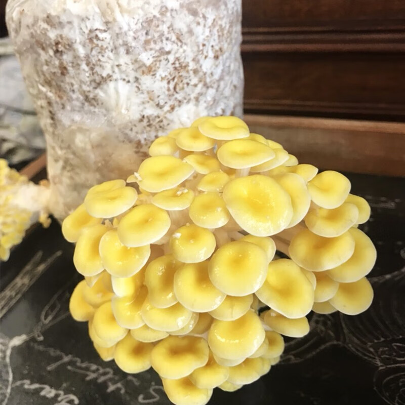 怎么看蔬菜类物品的历史价格|蔬菜类价格比较