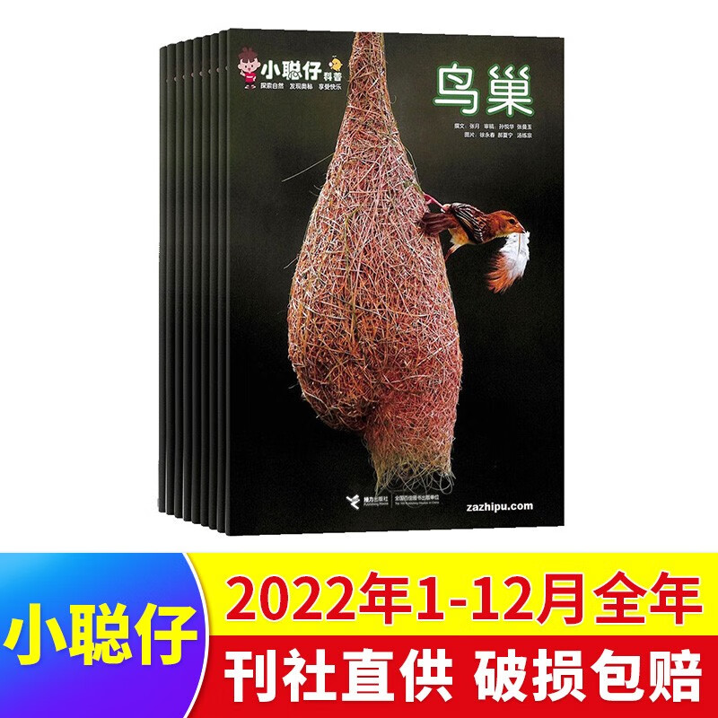 现货包邮 小聪仔自然科普版2022年1-12月打包 杂志铺 2~8岁幼儿益智兴趣智力开发儿童科普过期刊