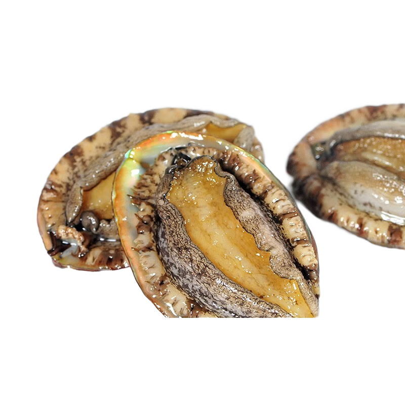 ���ڲ�������ָ���� �����춳���� ��ȥ�⴦�� �ʻ��䶳����ȥ��ȥ���� 9���춳�����ʻ� 10ͷ*3��