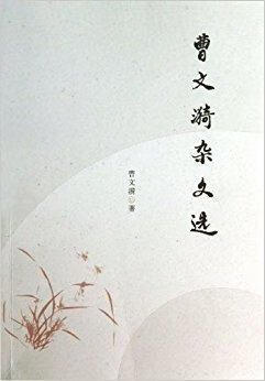曹文漪杂文集 曹文漪著 经济管理出版社