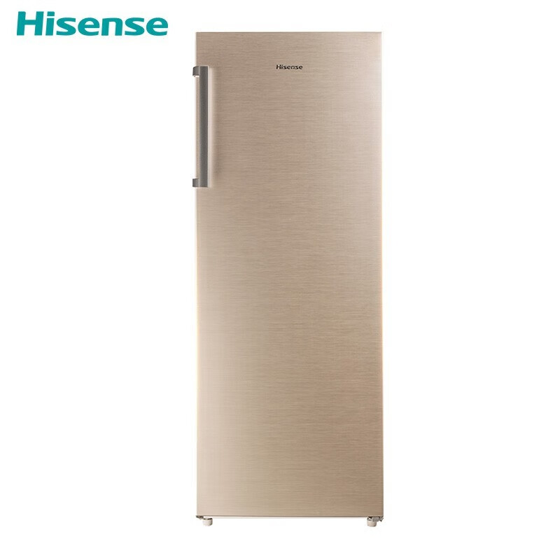 【尾货机】海信 (hisense) bd-170/a 立式冰柜家用小型大冷冻柜商用