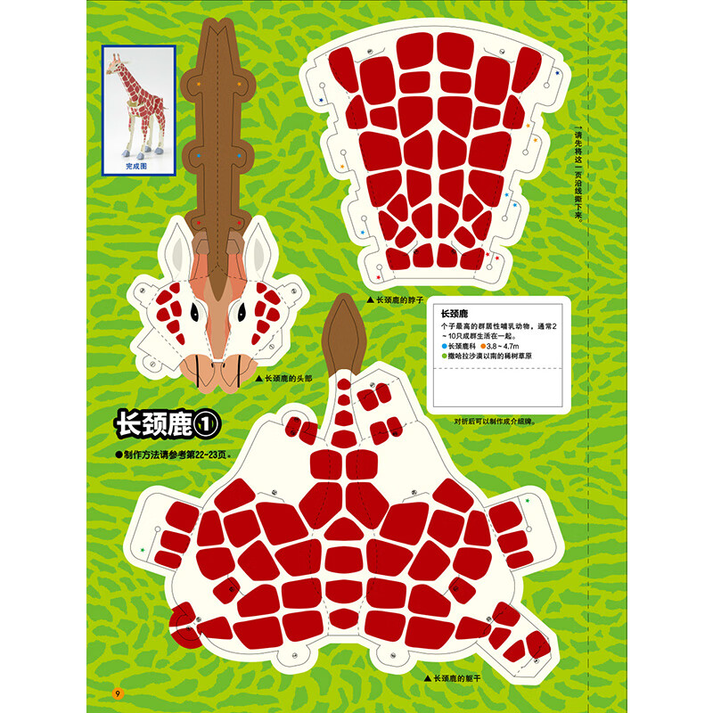 【赠手工剪刀】立体手工博物馆 第2辑全4册 后浪正版 交通工具动物鱼类蔬菜水果馆 日本立体手工益智游戏绘本