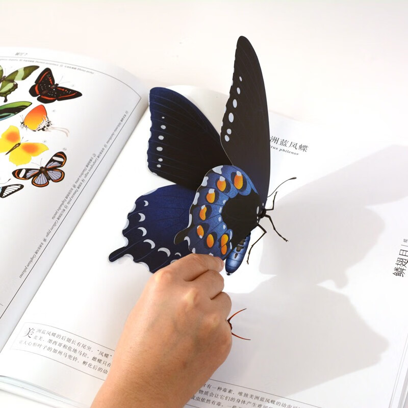 虫儿飞指尖上的昆虫博物馆（奇想国童书）亲密接触11大目、200余种稀奇古怪的虫虫，告别昆虫恐惧。暑假阅读暑假课外书课外暑假自主阅读暑期假期读物