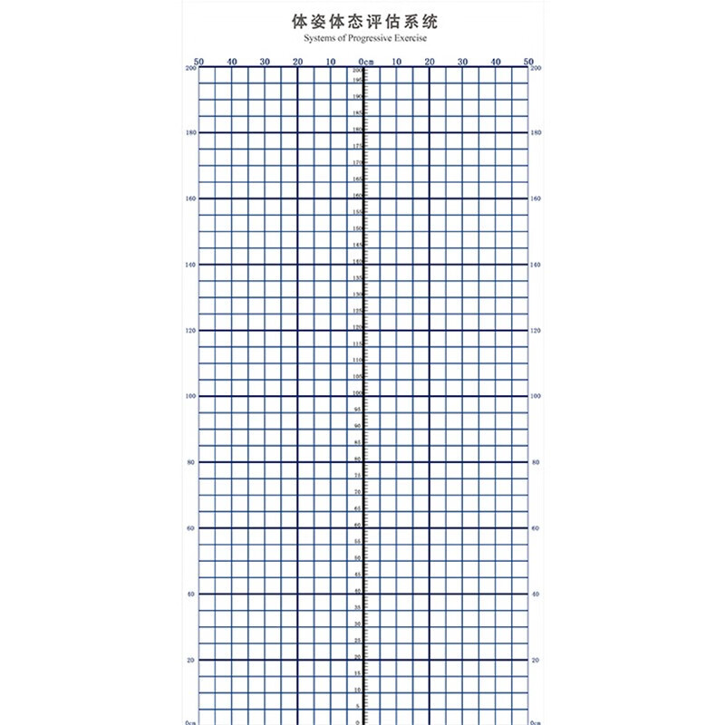 体态评估表墙贴健身房体测网格瑜伽馆私教姿势体位背景墙体姿图 蓝105