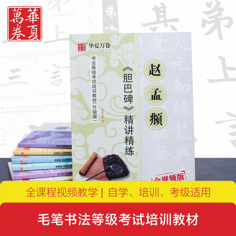 赵孟頫胆巴碑精讲精练 全视频版升级版 书法等级考试培训教材 学生成人书法毛笔字帖培训教材 赵孟頫胆巴