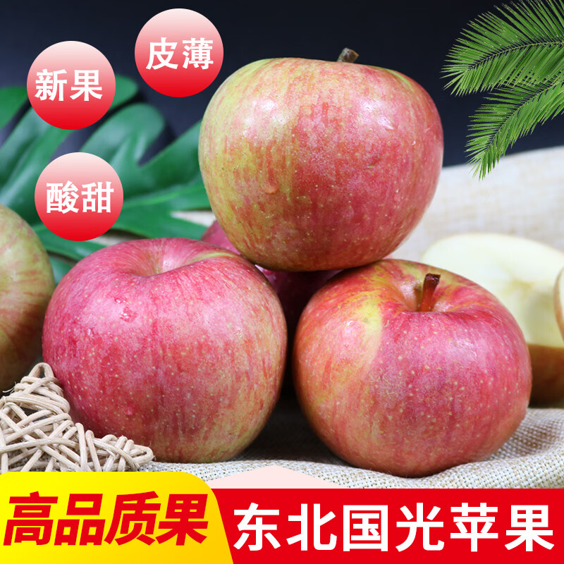 暖欣果老树国光苹果丑苹果酸甜新鲜水果东北辽宁特产真国光笨果 5斤中果(单果65-70mm)