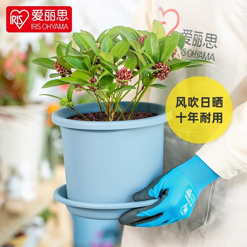 愛麗思(IRIS)花盆彩色Deepot圓形月季鐵線蓮花盆園藝批發(fā)樹脂花盆塑料盆無盆托 5號淺藍 單盆