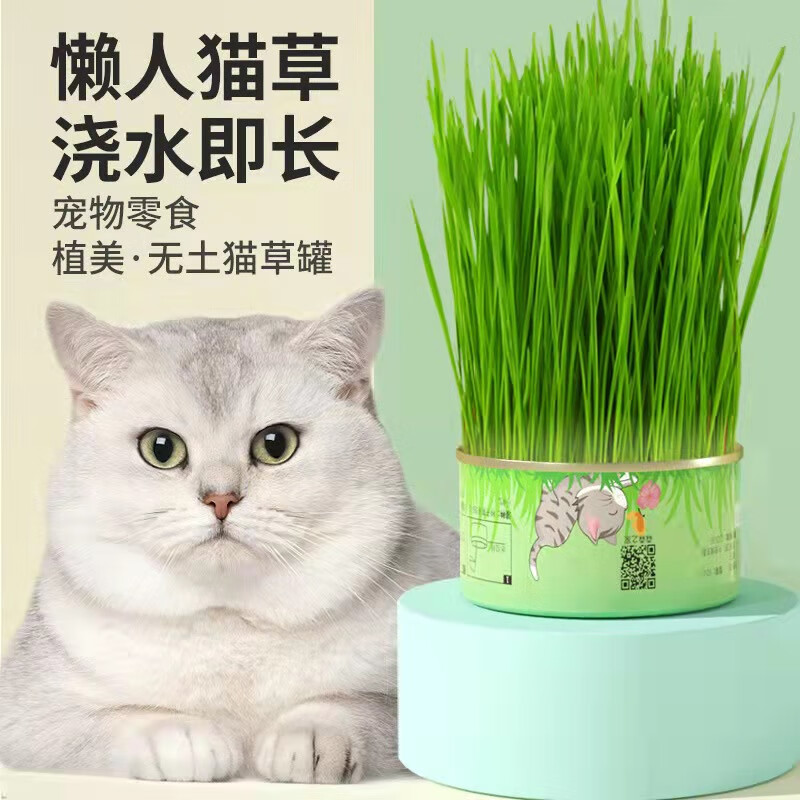 欢宠网猫草套装猫草种子盆栽懒人罐头水培土培种植猫零食猫咪化毛猫薄荷