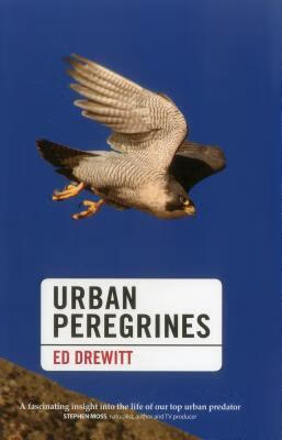 预订 urban peregrines