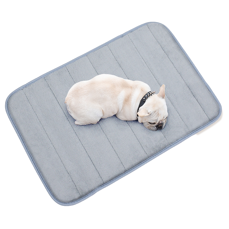 ���ڲ����������� ���ﹷ����è����˯�洲�洺���ﶬ�ļ�ר�õص���Ʒ L-50*80cm