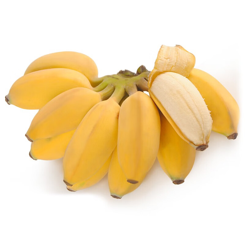 静益乐源广西小米蕉 粉蕉 新鲜香蕉水果 2斤装
