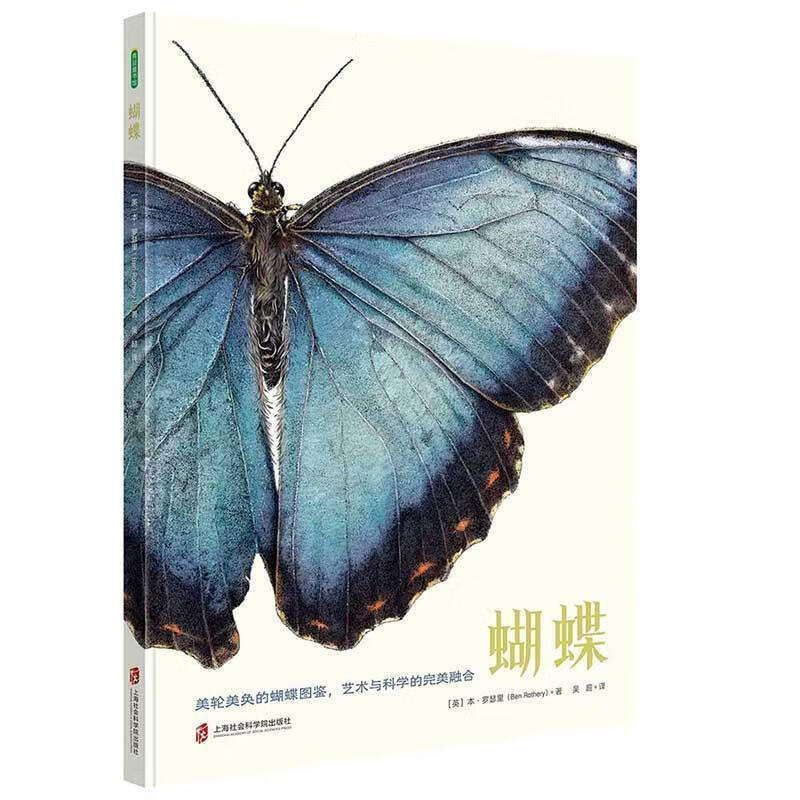 青豆童书馆:蝴蝶(精装彩图版)