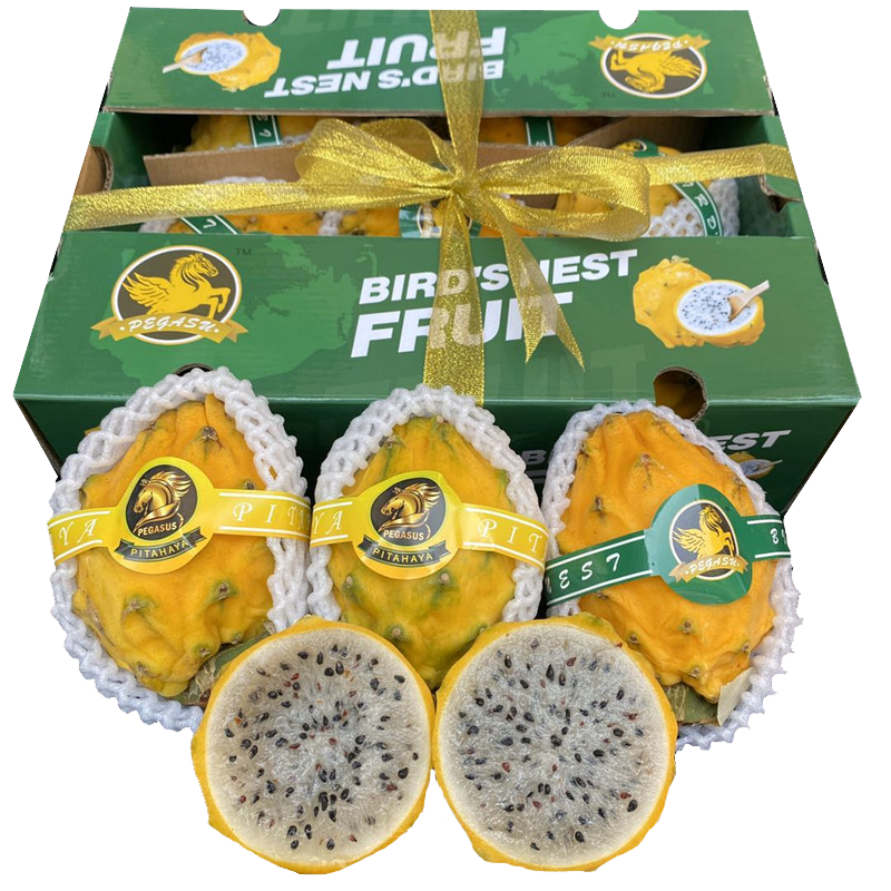 润家福【顺丰速运】哥伦比亚品种麒麟果燕窝果黄色白心火龙果原箱礼盒