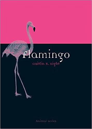 预订 flamingo