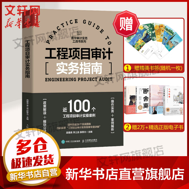 工程项目审计实务指南 图书