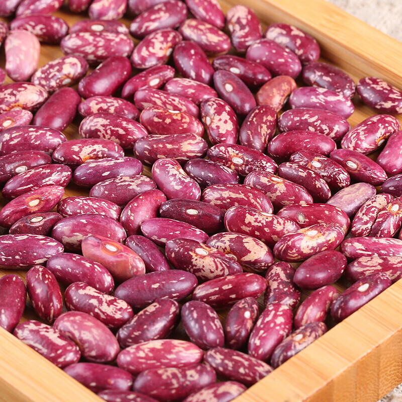 虎钢馋东北饭豆大红芸豆新鲜四季豆干五谷杂粮豆花芸豆