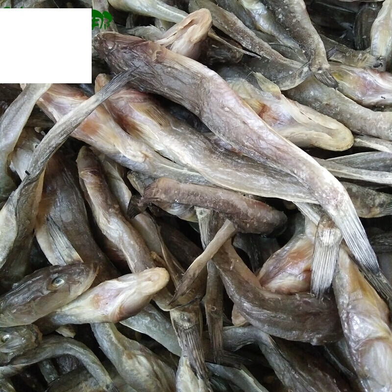 虎钢馋北戴河特产干海货海鲶鱼干品胖头鱼干扔巴鱼沙光鱼干咸鱼500g