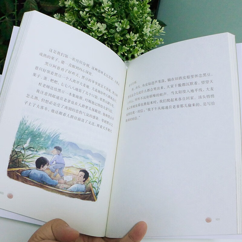 国门小学系列 全5册 佤乡等信来犀鸟与少年凤凰花下的呼唤 童眸中的彩虹童年里的木偶戏童书节儿童节 二十一世纪出版社
