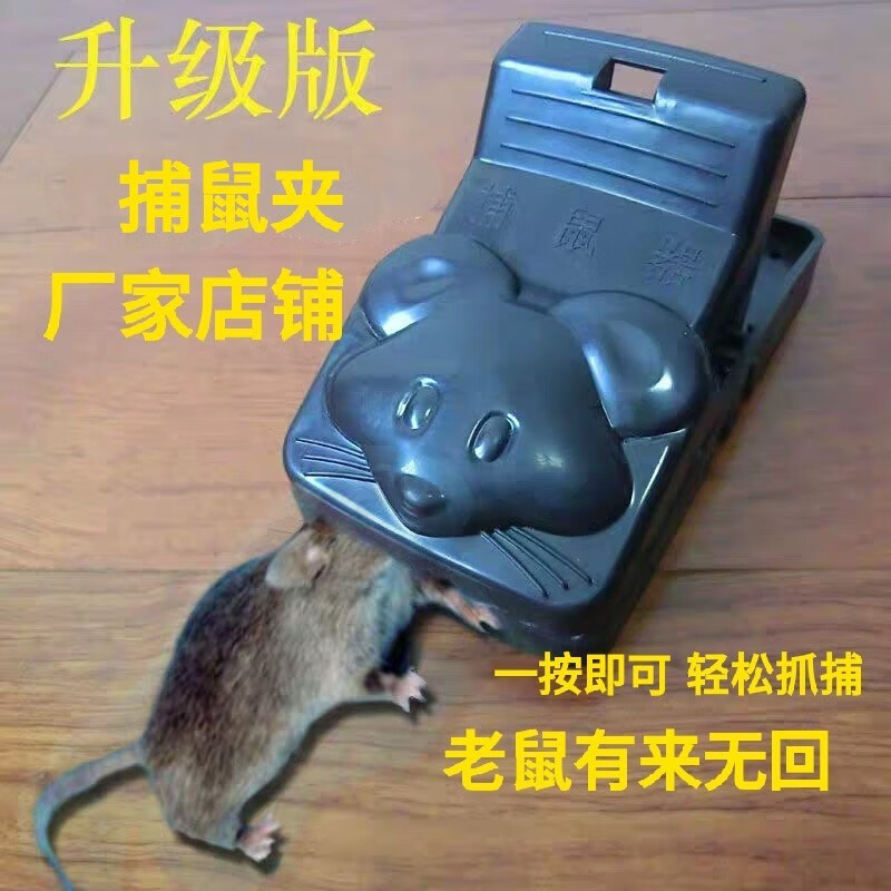 惠利得老鼠夹 捕鼠器子强力大老鼠夹强力捉夹抓老鼠笼子粘鼠板 比猫