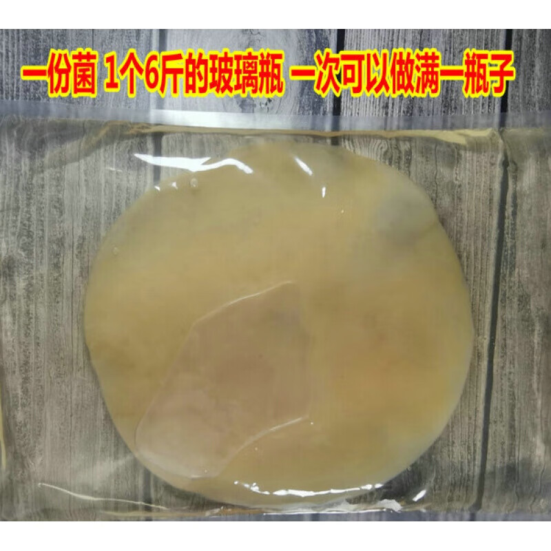 菌种/海宝/胃宝/醋蛾子/种苗/红茶菌大分量菌种 菌膜 母液=1400克