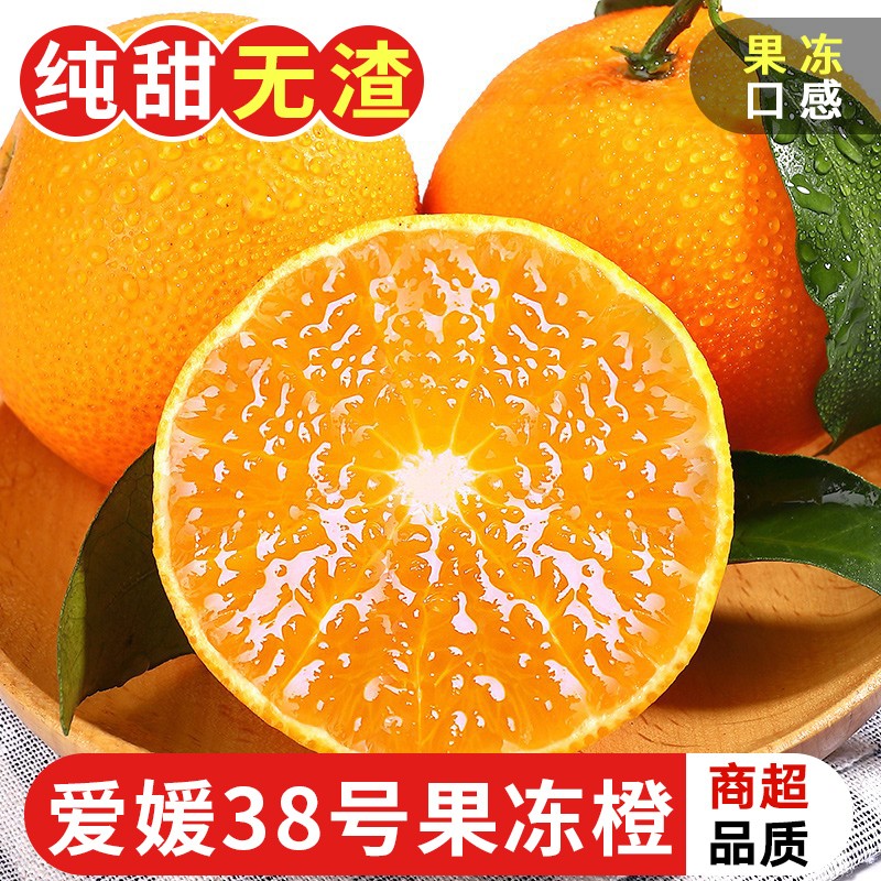 桔橘历史价格价格查询App|桔橘价格走势