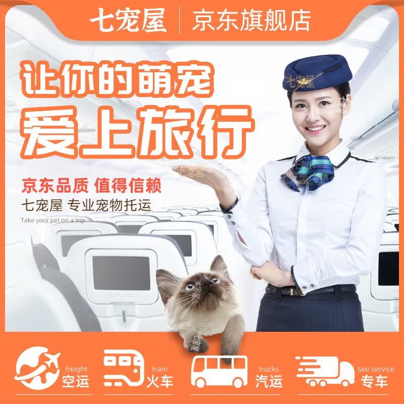 宠物托运服务全国狗猫快递上门宠物专车空运 单独运输 0-5KG使用感如何?