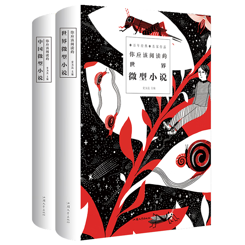 你应该阅读的微型小说（全套2册）精装 中国微型小说 X微型小说  中小学生课外阅读