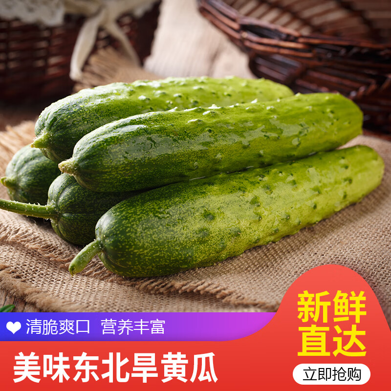 【佑嘉木】水果小黄瓜 小青瓜 东北旱黄瓜 新鲜蔬菜 4.5斤普通装