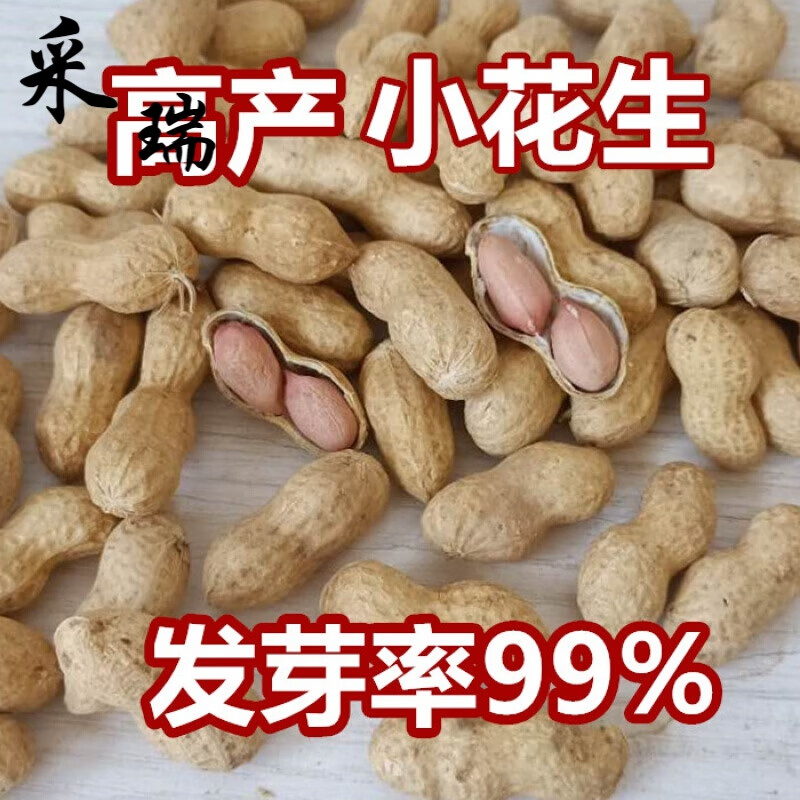 乐佳萱山东威海薄皮小花生带壳珍珠农家发芽黑生花生种籽高产 小花生5