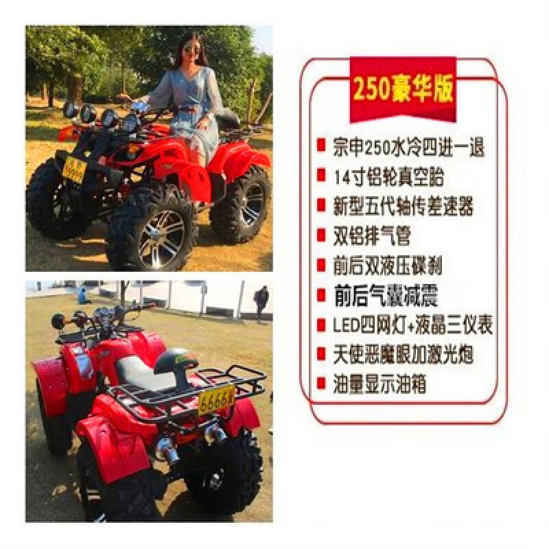 雪戰(zhàn)大小公牛沙灘車四輪越野山地叢林四驅(qū)汽油電動成人全地形燃油摩托 250CC豪華版