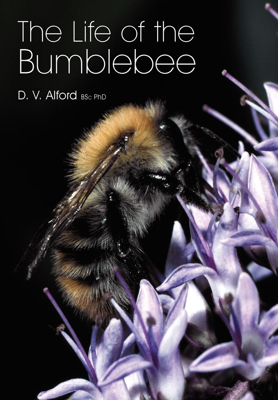 【预售 按需印刷】the life of the bumblebee
