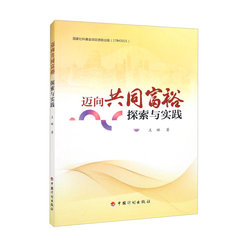 迈向共同富裕:探索与实践