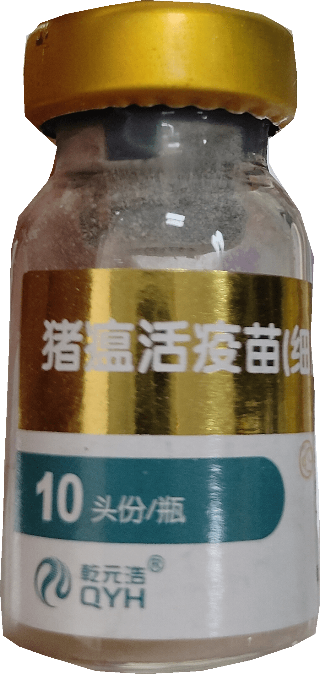 勋狸粑兽用猪瘟活疫苗10头份/瓶 一瓶【10头份/瓶】
