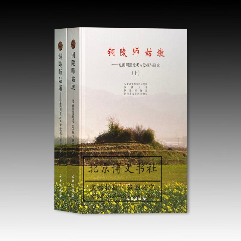 铜陵师姑墩:夏商周遗址考古发掘与研究(全二册)【精】